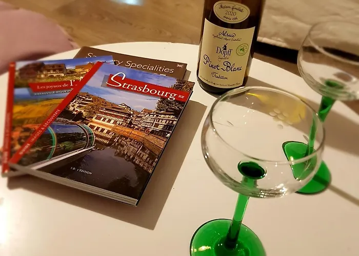 Lovely With A Garage On Premises * Strasbourg